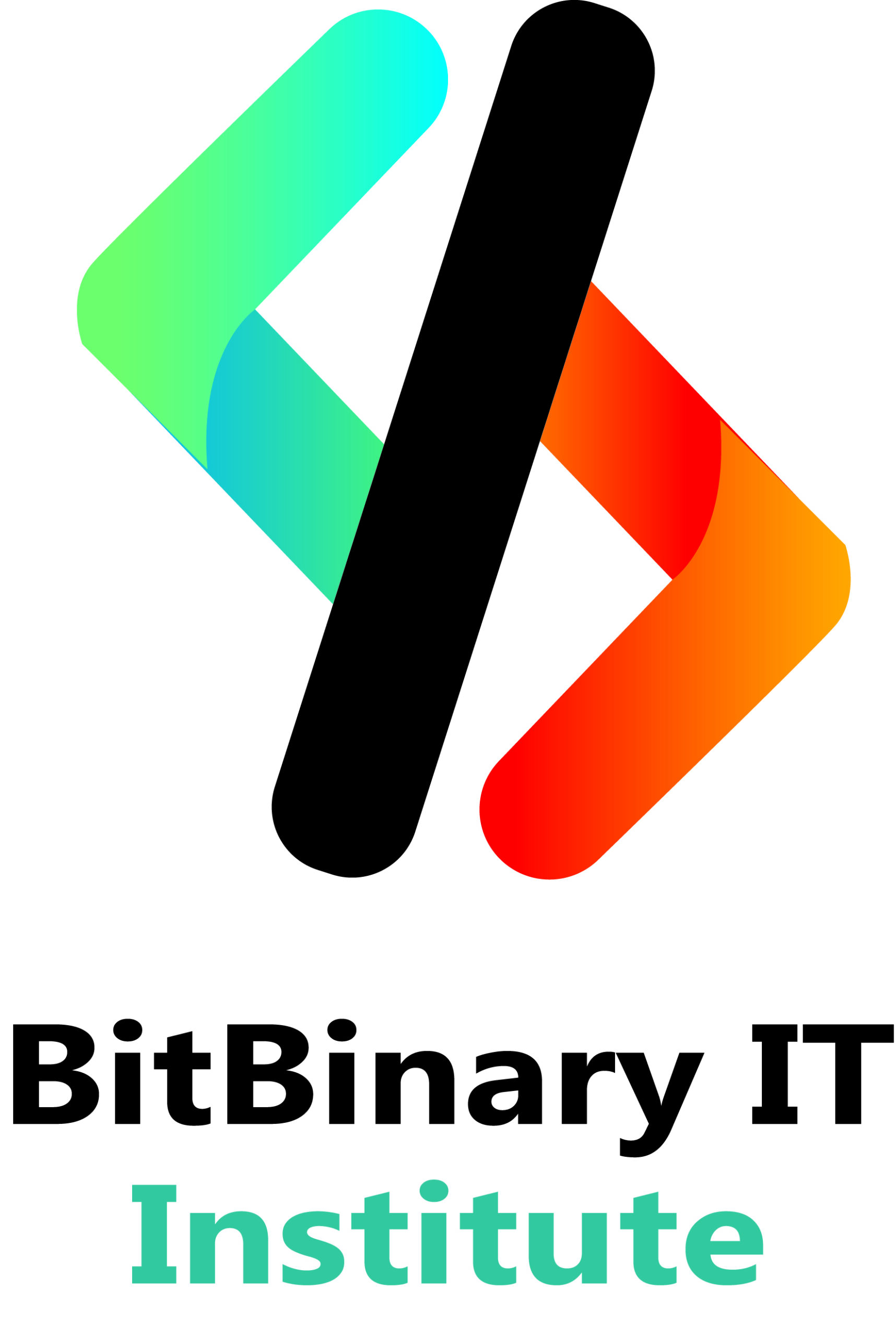 BBIT Institute copy